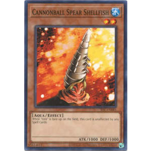 Cannonball Spear Shellfish (25th Anniversary Edition)