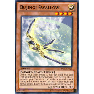 Bujingi Swallow