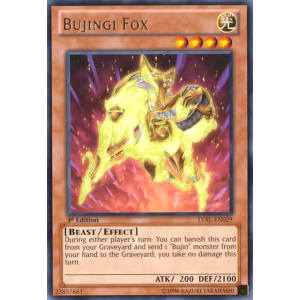 Bujingi Fox