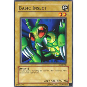 Basic Insect