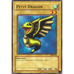 Petit Dragon