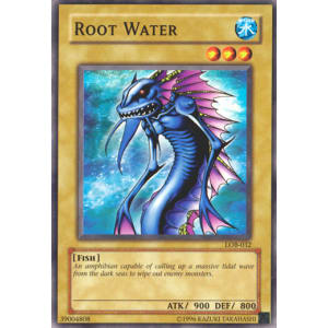 Root Water