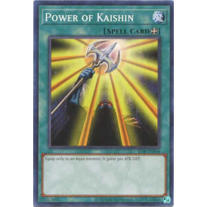 Power of Kaishin (25th Anniversary Edition)