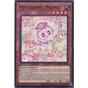 Mulcharmy Meowls
