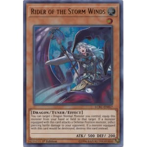 Rider of the Storm Winds