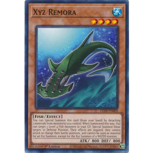Xyz Remora