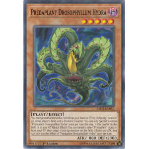 Predaplant Drosophyllum Hydra