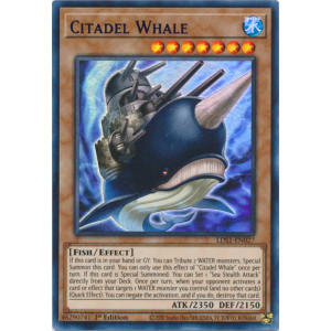 Citadel Whale (Purple)