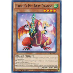 Harpie's Pet Baby Dragon