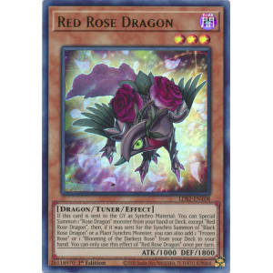 Red Rose Dragon