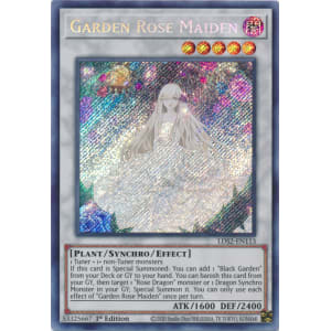 Garden Rose Maiden