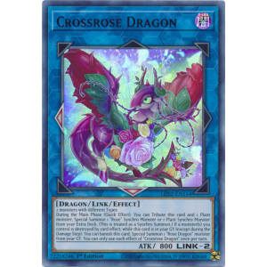 Crossrose Dragon (Purple)