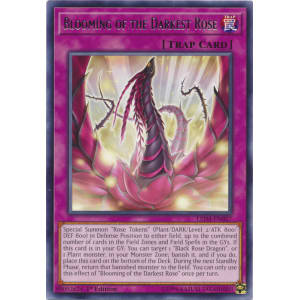 Blooming of the Darkest Rose