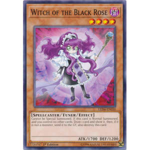Witch of the Black Rose