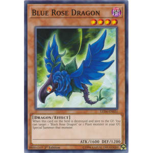 Blue Rose Dragon