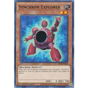 Synchron Explorer