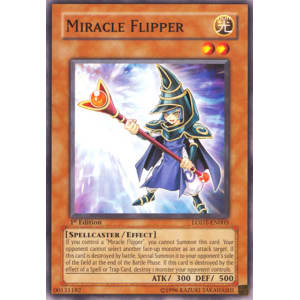 Miracle Flipper