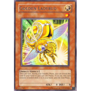 Golden Ladybug