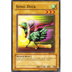 Sonic Duck