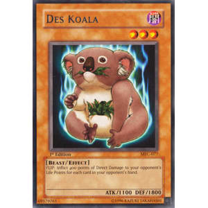 Des Koala