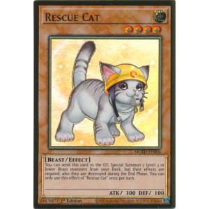 Rescue Cat (alternate art)