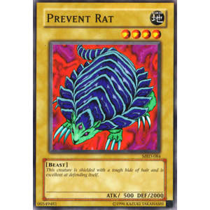 Prevent Rat