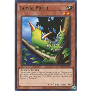 Larvae Moth (25th Anniversary Edition)