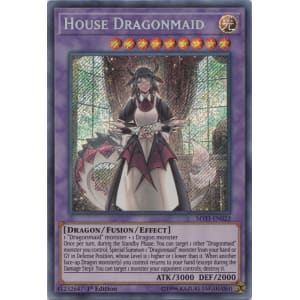 House Dragonmaid