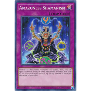 Amazoness Shamanism