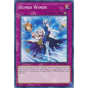 Humid Winds