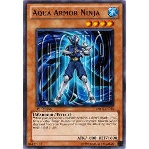 Aqua Armor Ninja