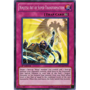 Ninjitsu Art of Super-Transformation