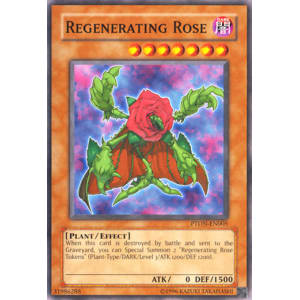 Regenerating Rose