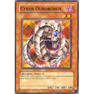 Cyber Ouroboros