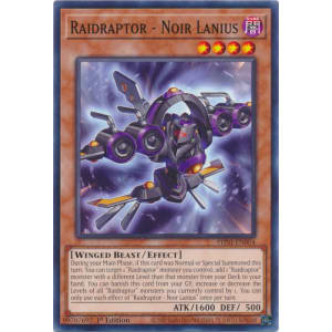 Raidraptor - Noir Lanius