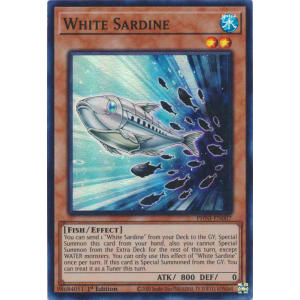 White Sardine