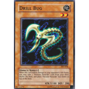 Drill Bug