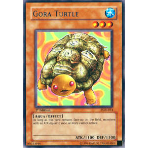 Gora Turtle