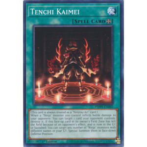 Tenchi Kaimei