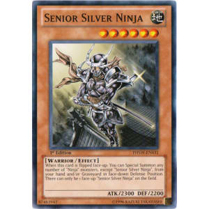 Senior Silver Ninja