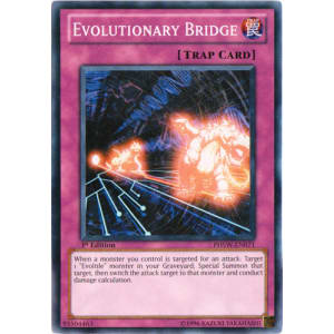 Evolutionary Bridge