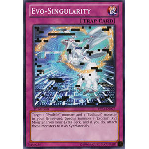 Evo-Singularity