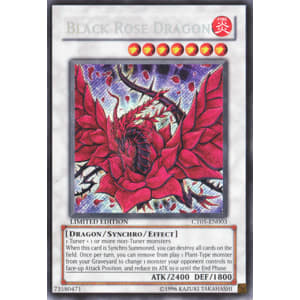 Black Rose Dragon