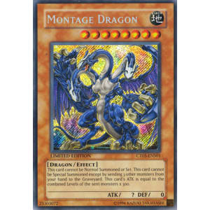 Montage Dragon