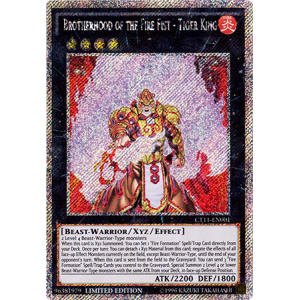 Brotherhood of the Fire Fist - Tiger King