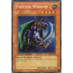 Panther Warrior