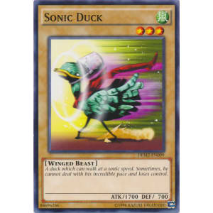 Sonic Duck