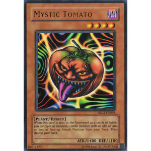 Mystic Tomato