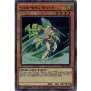 Storming Wynn