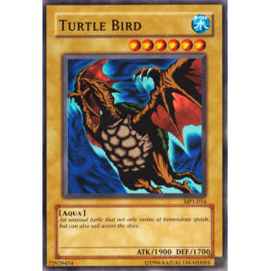 Turtle Bird